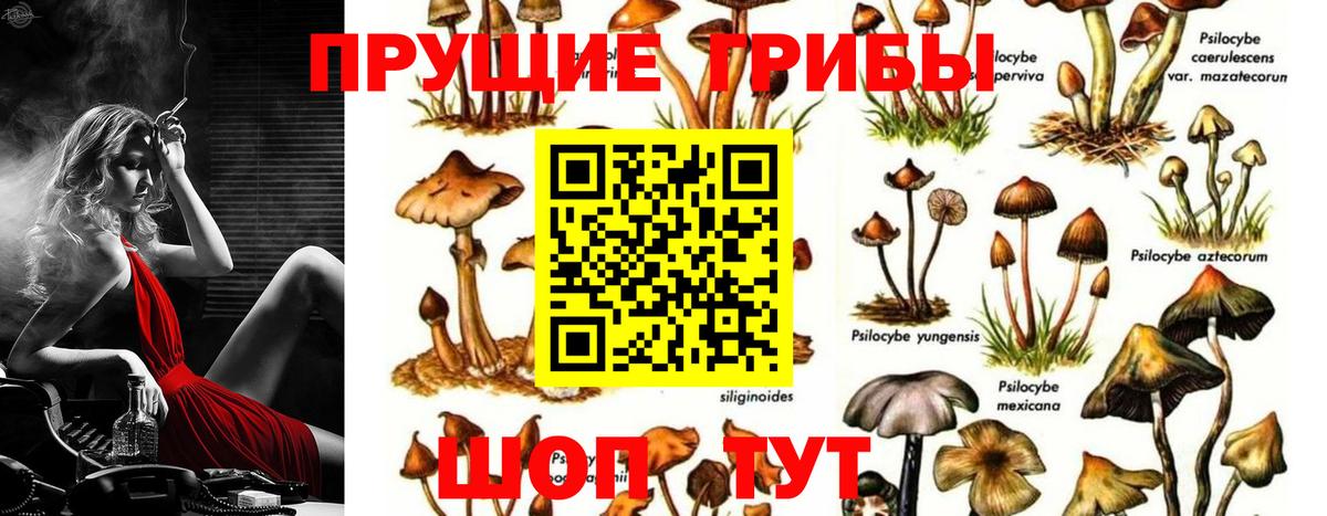 дарнет шоп  Галлюциногенные грибы MAGIC MUSHROOMS  Вход с VPN  Тобольск  Галлюциногенные грибы мицелий 